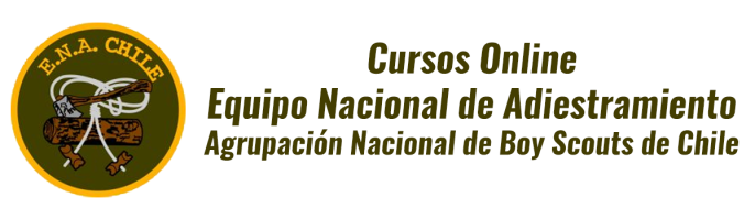 ENA CHILE - Cursos Online