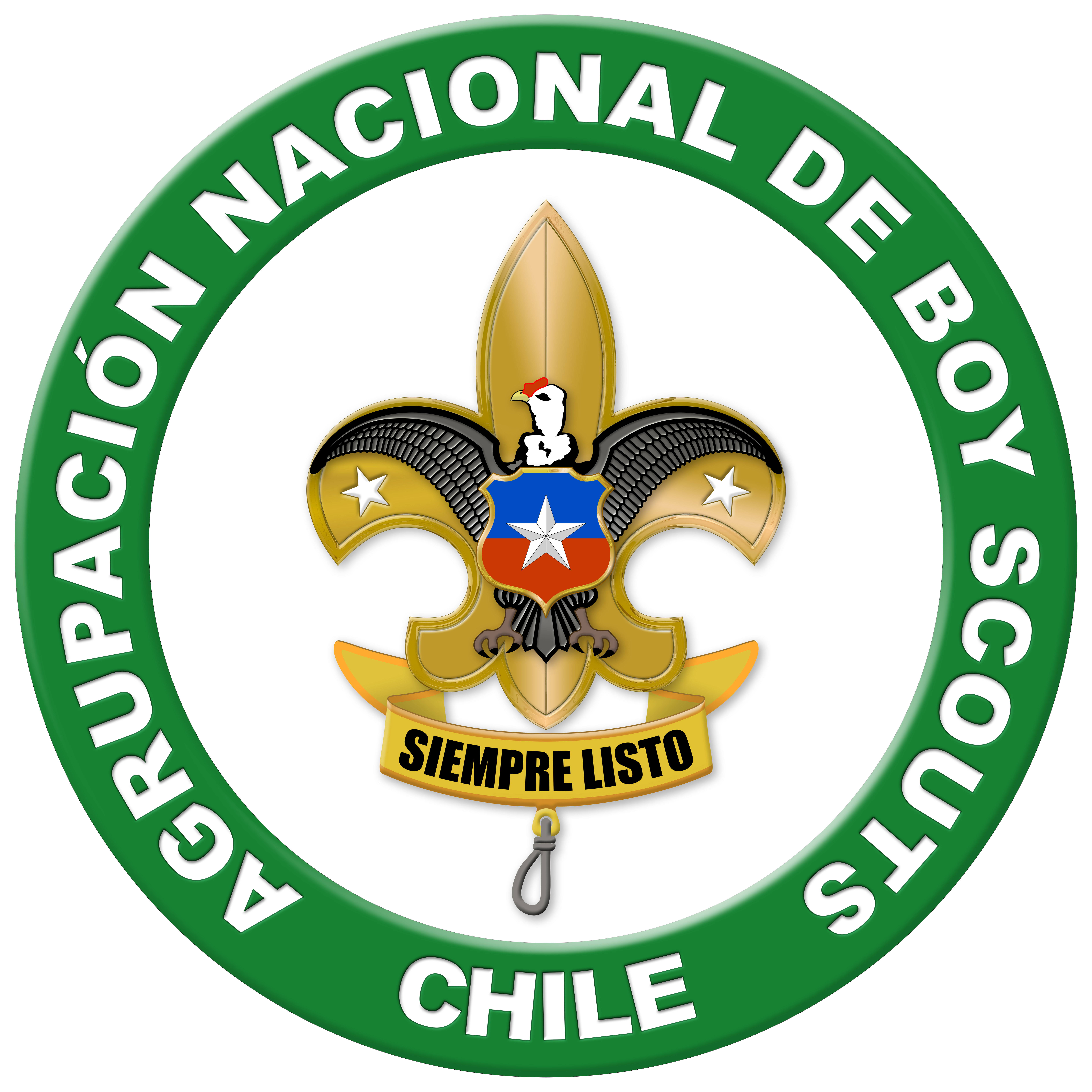 Logo Agrupación Nacional de Boy Scouts de Chile
